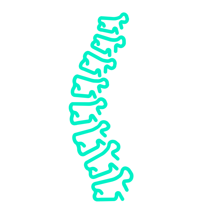 icono columna vertebral